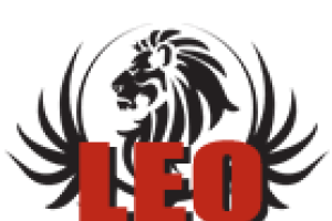 Darmowe ogłoszenia i reklama na Leo.biz.pl