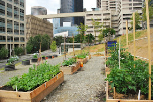 ✨ Grupa VIP – Profesjonalna firma sprzątająca Częstochowa