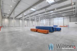 Wynajem lokalu 2577m2 Kolonia Lesznowola Postępu