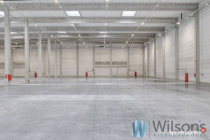 Wynajem lokalu 2577m2 Kolonia Lesznowola Postępu