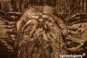 Sprzedam obraz z 1988 r. Olej, płótno. 120 x 100 cm.