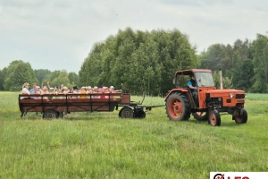 Wycieczka szkolna i przedszkolna do Stadniny Koni