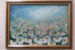 Obraz akrylowy   Rumianki