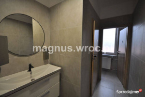 Biuro na wynajem- Borek