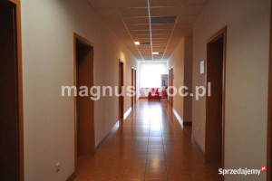 Biuro na wynajem- Borek