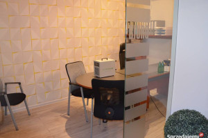 Dezynfekcja, dezynsekcja, deratyzacja, ozonowanie - Dąbrowa Górnicza