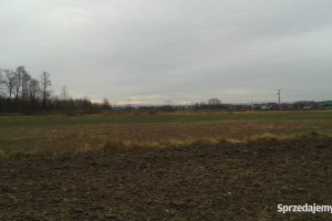 działka rolna Łukowa k/Tarnowa 20 ar