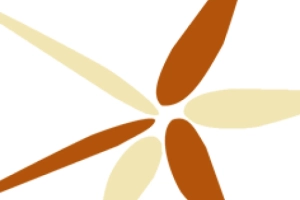 Kurs angielskiego dla dzieci we Wrocławiu - Diverslingva