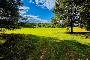 Wyjątkowa działka 2,42 ha wśród zieleni. Cisza, prywatność, natura