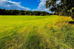 Wyjątkowa działka 2,42 ha wśród zieleni. Cisza, prywatność, natura