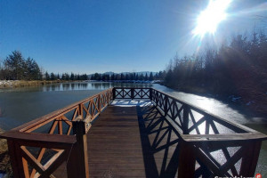 Działka do wynajęcia Borówno