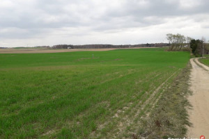 Dwie działki z warunkami zabudowy w Górze