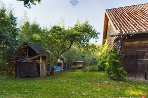 Działka z linią brzegową, siedlisko z sadem i las