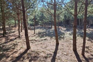 Działka na mazurach, wieś Kolonia gmina Świętajno. Wydane war.zabudowy