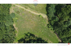 Wzgórze, las i przestrzeń – Twoje miejsce w górach