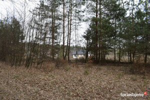 Działka13.87a pod budownictwo- Wysoka Głogowska