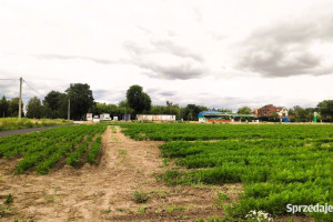 Sprzedam działkę usługowo-mieszkaniową w Marysinku, w gm. Błonie