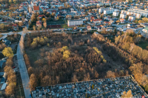 Działka 19a | Szydłowiec | Działka C | BLACK WEEKS