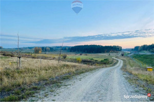 Wyjątkowa działka w Dorotowie