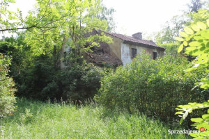 Nieduże siedlisko 5 km od Karwicy