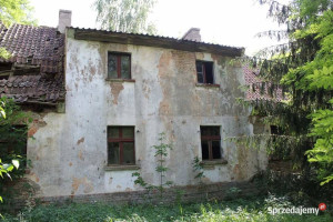 Nieduże siedlisko 5 km od Karwicy