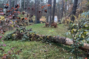 Działka leśna ZL ogrodzona nad jeziorem