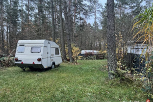 Działka leśna ZL ogrodzona nad jeziorem