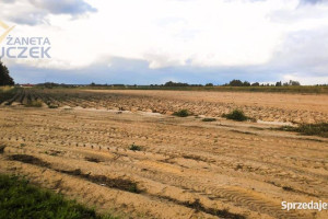 Sprzedam działki budowlane w miejscowości Walentów w gminie Leszno