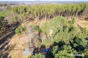 Dom wolnostojący Sasino Stara Cegielnia 40m2