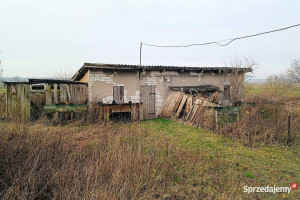 Dom wolnostojący do remontu - Warmia