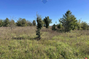 Działka na Mazurach - 3 chwile do jeziora