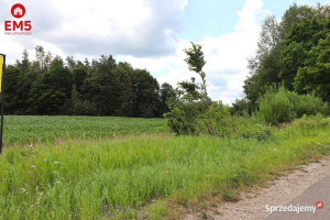 Grunt 879 metrów Rożyńsk Wielki