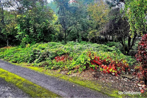 Działka budowlana - centrum Dąbrowy Górniczej