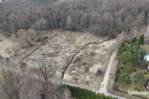 Działka na Mazurach - Rogojny, jezioro Łaźno