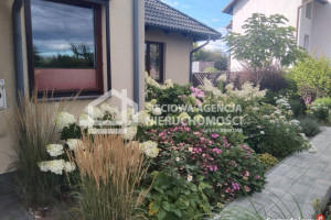 Dom wolnostojący 446m2 Chojnice
