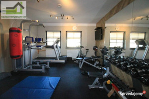 Dom wolnostojący Sosnowiec Kolonia pod Klimontowem 350m2