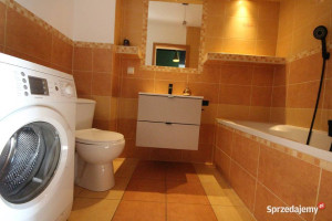 1pok, 29met, okolice Konnej BALKON/2008 (Wysoka)