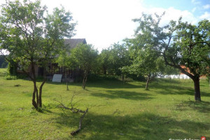 Siedlisko - sprzedam