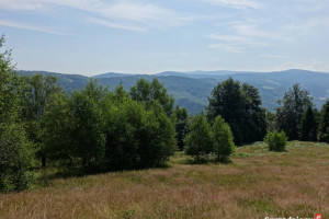 Brenna 2,53 ha działka inwestycyjna blisko wyciągu