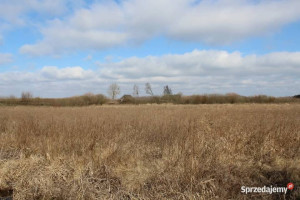 Działka rolna w Kwiku blisko jeziora Białoławki