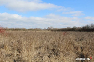 Działka rolna w Kwiku blisko jeziora Białoławki