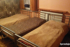 wynajmę mieszkanie w domu jednorodzinnym na parterze ZĄBKI