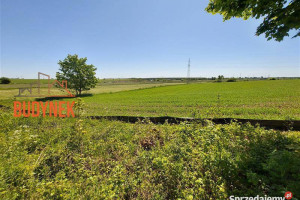 Działka budowlana - Zakrzewo