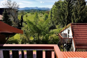 Okazja dom z 7 mieszkaniami pod wynajem + domek