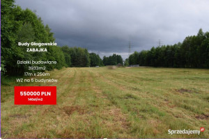 Działka budowlana 39a, Budy Głogowskie