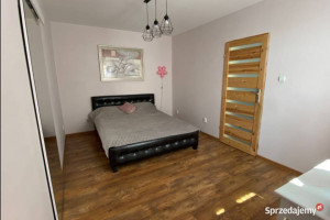 3pok, 86met, Okolice Witelona ROZKŁAD/PIWNICA (Legnica)