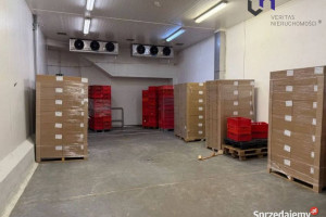 Lokal Mysłowice 1867m2