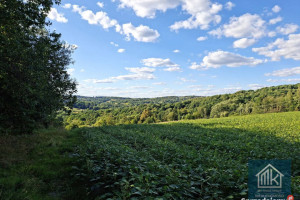 Działka 1178m2 Dobranowice