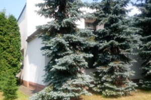 Sprzedam Dom 200m2 Garaz i Altana. Działka 2020m2