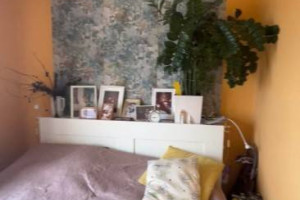 3pok, 64met, Piekary A BALKON/PIWNICA/2 WINDY (Legnica)